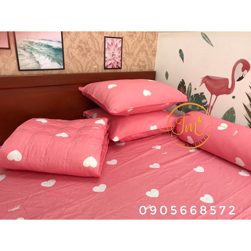 Sét ga gối 4 món không kèm mền xinh lung linh 100% coton chính hãng
