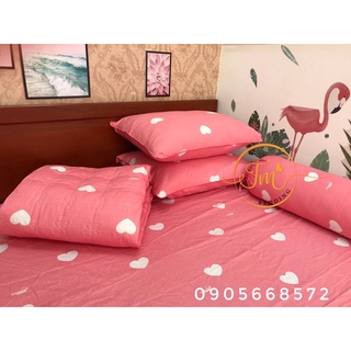 Sét ga gối 4 món không kèm mền xinh lung linh 100% coton chính hãng