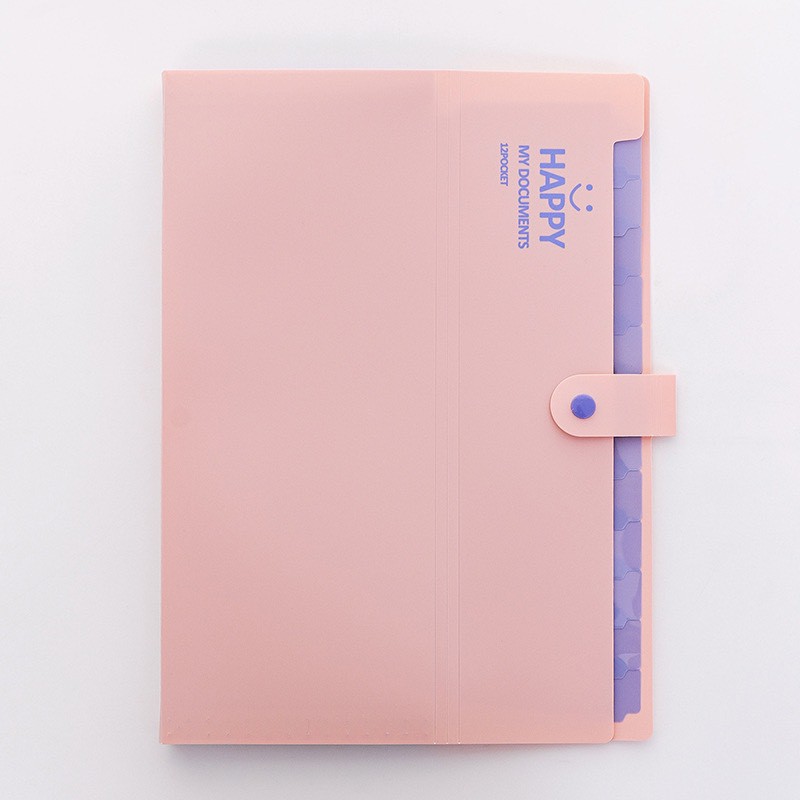 Túi đựng tài liệu, bài kiểm tra A4 nhiều ngăn TL585 - giao màu ngẫu nhiên