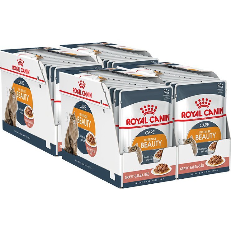 Pate cho mèo đẹp da lông Royal Canin Intense Beauty – túi 85g