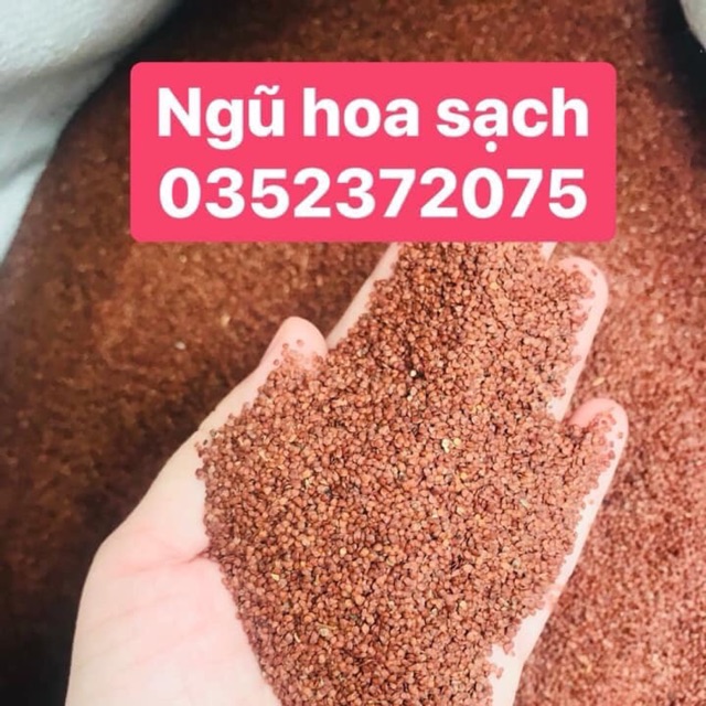 Hạt ngũ hoa 1kg