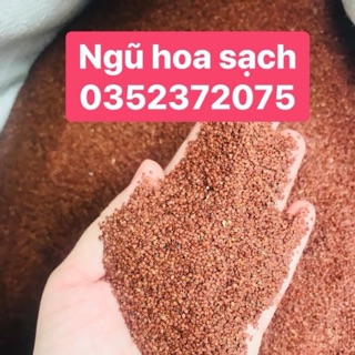 Hạt ngũ hoa 1kg