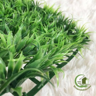 Vỉ cỏ nhựa mini
