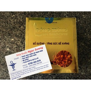 ĐÔNG TRÙNG HẠ THẢO CVIN