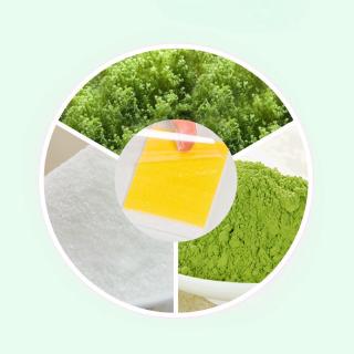 Set 10 Miếng Dán Giảm Cân Tiện Dụng