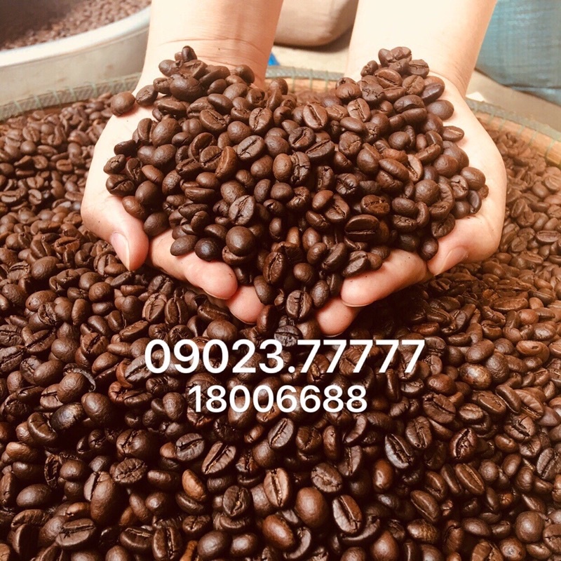 cà phê robusta honey đặc biệt cao cấp gói 500g-1kg thượng hạng | BigBuy360 - bigbuy360.vn