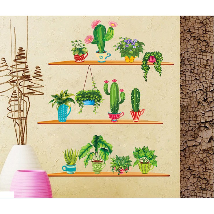 Decal trang trí tường Nhiều Chậu Xương Rồng