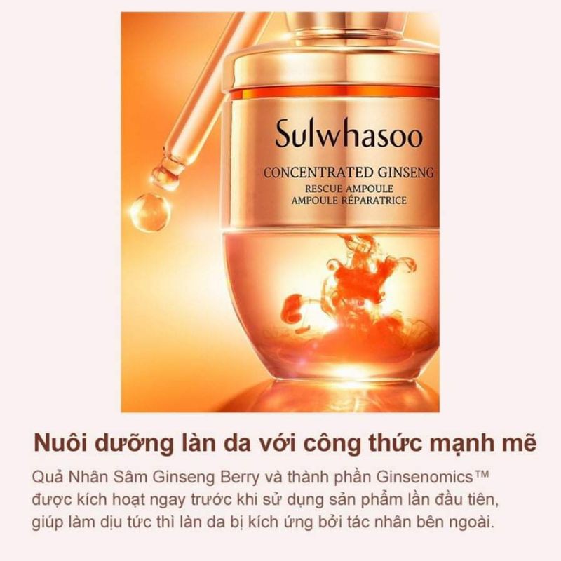 Tinh chất nhân sâm cô đặc giải cứu làn da Sulwhasoo Concentrated Ginseng Renewing Ampoule sample 3.5 grams