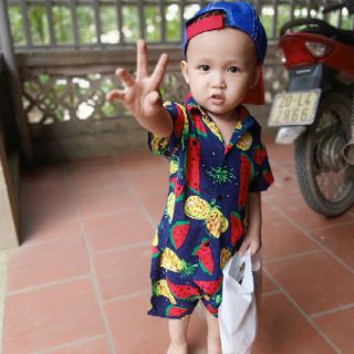 combo6 bộ lanh trái cây