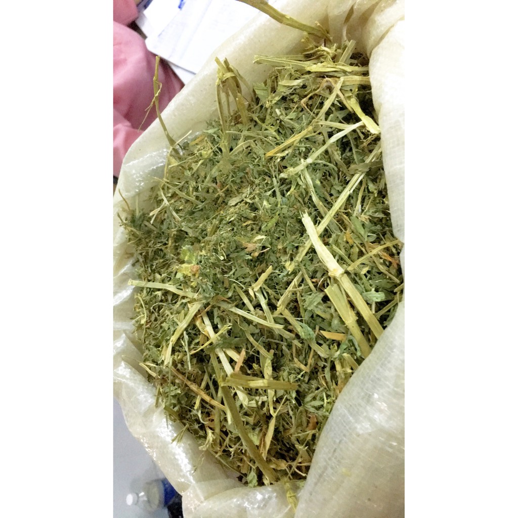 Cỏ khô dành cho thỏ bọ Alfalfa 500g