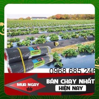 Màng phủ nông nghiệp màng phủ đất 1m4 x 400m x 25mic hàng đẹp dày dặn