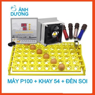 Máy ấp trứng mini Ánh Dương P100 khay đảo trứng gà tự động 54 quả - Tặng kèm 2 món quà, tự lắp ráp vào thùng xốp