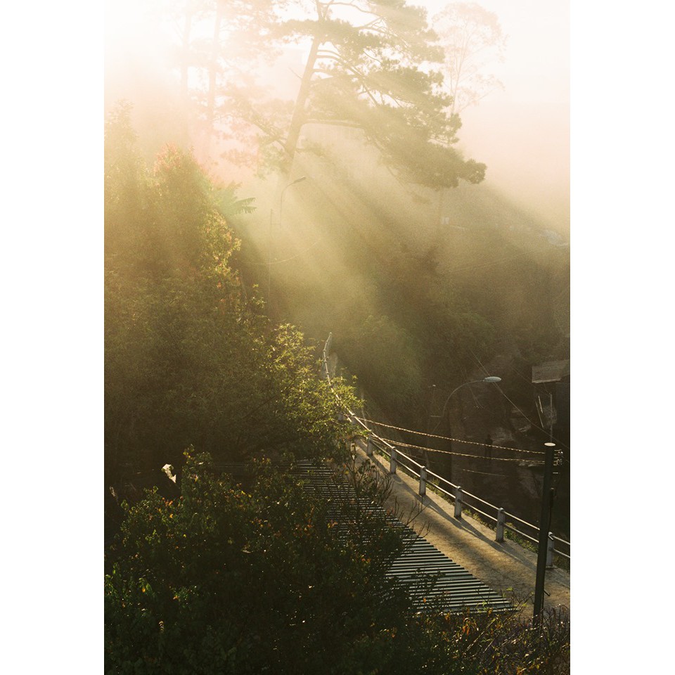 Phim Chụp Ảnh Superia Premium 400 Fuji 27 kiểu DATE 09.2024