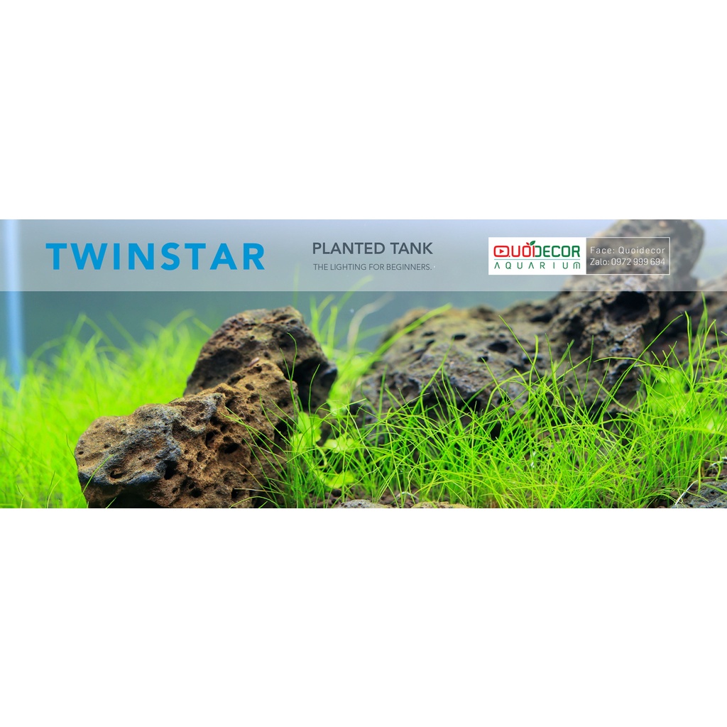 Đèn Twinstar B LINE III RGB | 30B | 45B | 60B | Đèn led chuyên dụng cho bể cá cảnh thủy sinh