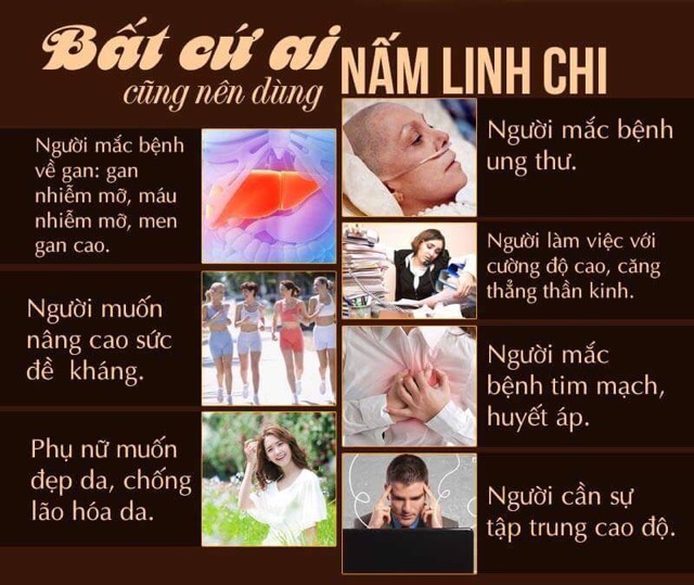 Nấm lim xanh Tiên Phước (loại nhỏ; đvt:100g)