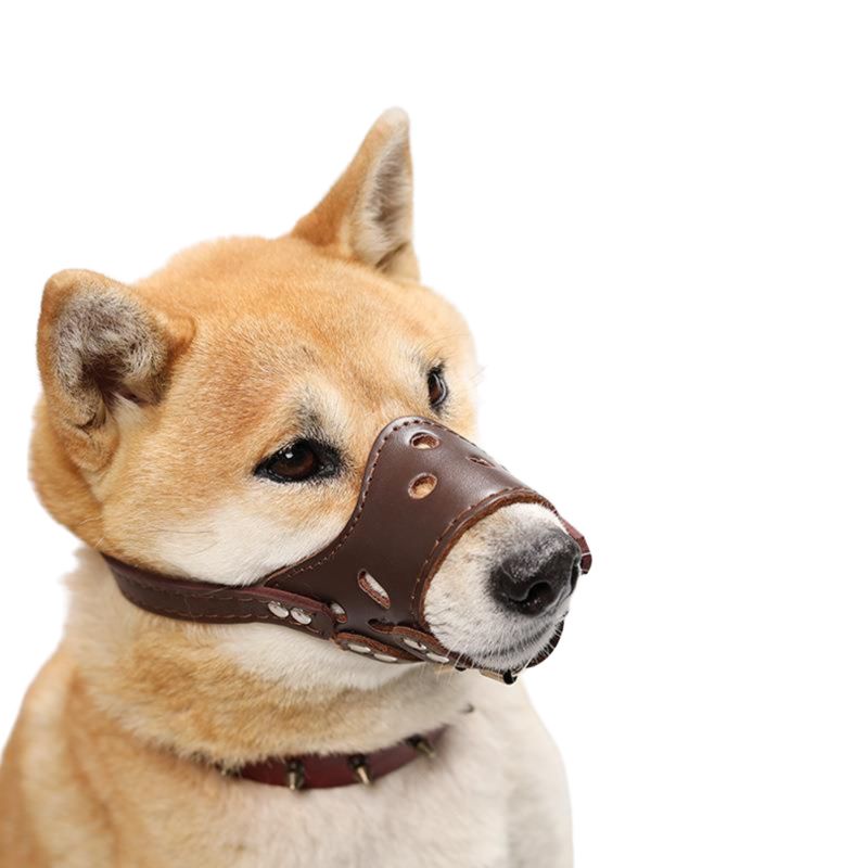 Rọ Mõm Chó, Rọ Mõm Cho Chó Bằng Da PU
