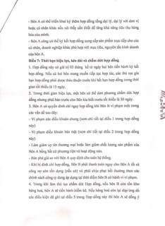 Cốm chùm ngây Moringa