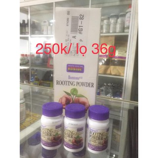 SIÊU KÍCH RỄ ROOTING POWDER
