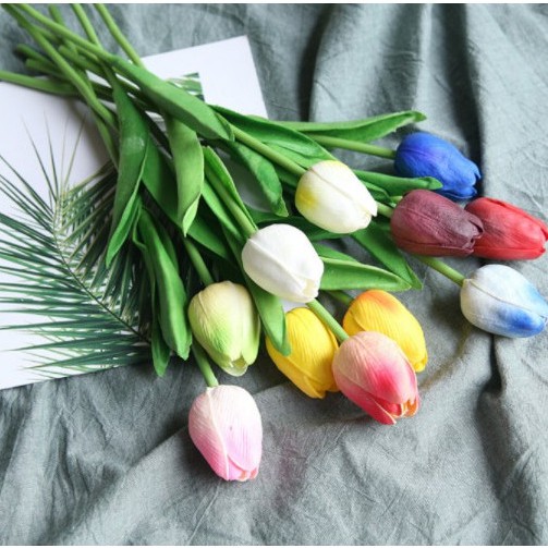 Nhiều màu đẹp _ HOA TULIP / HOA RUM LYLY ĐẸP SỐNG ĐỘNG NHƯ THẬT