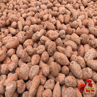 Củ Nghệ Đỏ Cho Gà Đá Cao Cấp [Nguyên Chất 100%] - 500gram