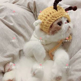 Mũ len cho thú cưng handmade