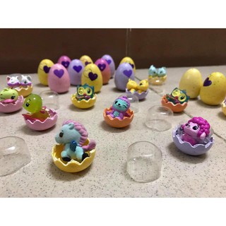 Trứng hachimals nhiều màu-Thú hachimals