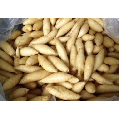 Bột hoàng thanh đặc sản hải hậu nam định giải nhiệt mùa hè