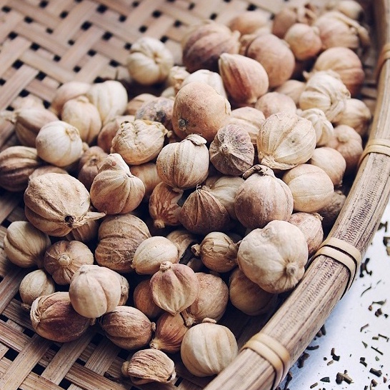 [100g-500g] Bạch đậu khấu trắng làm gia vị nấu phở, lẩu cay Tứ Xuyên