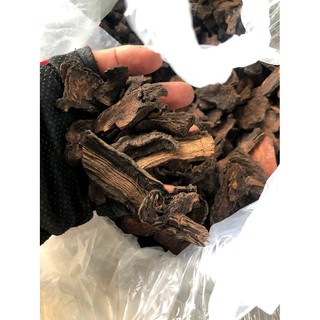 Hà thủ ô đỏ