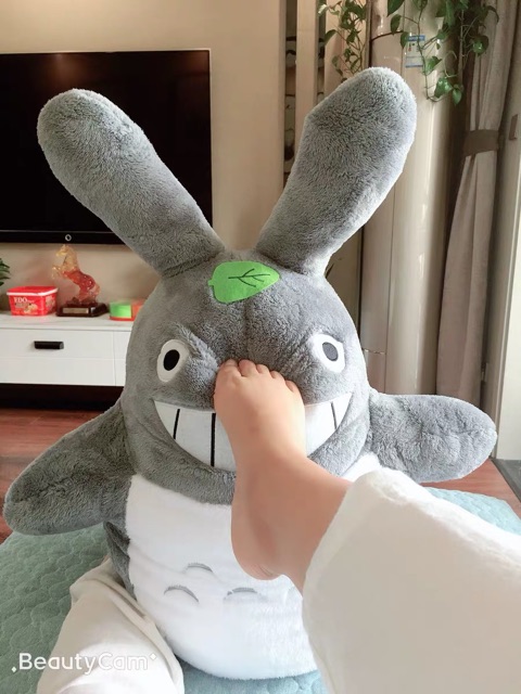 (Order) Thú bông TOTORO size đại (kèm ảnh thật)