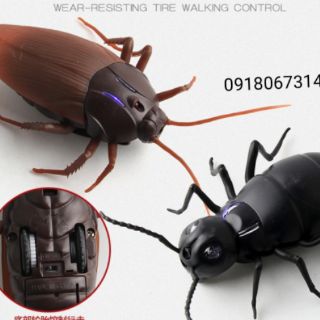 Côn trùng điều khiển từ xa