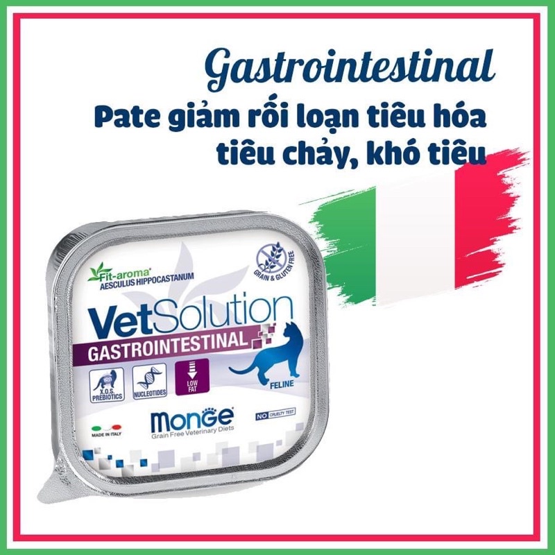 Pate hỗ trợ phục hồi Monge Vet Solution dành cho Mèo - Monge Vet Solution for Cats