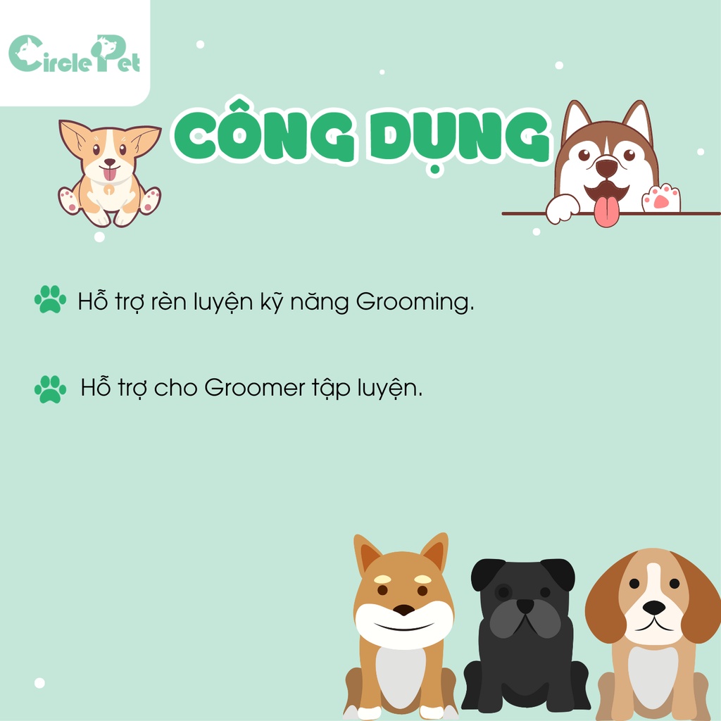 Khung Đầu Chó Giả Poodle Teddy Body Màu Trắng Dễ Dàng Lắp Ráp Chắc Chắn Chất Liệu An Toàn Cho Ngừoi Sử Dụng - Circle Pet