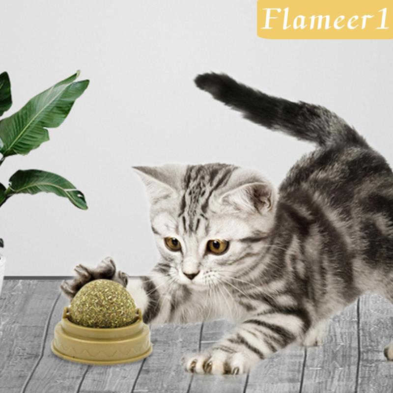 [Flameameer1] Quả Bóng Bạc Hà Tự Nhiên Làm Sạch Răng Nuôi Dưỡng Gắn Tường Cho Mèo