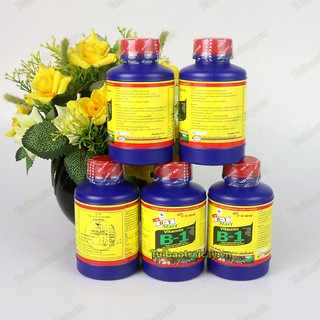 Phân bón điều hòa sinh trưởng vitamin b-1 lọ 100ml - t162