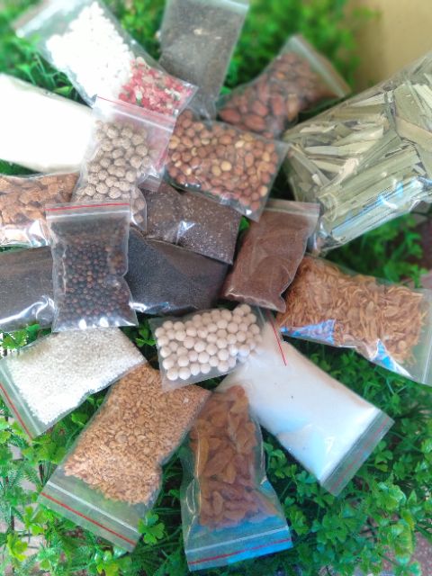 20 MÓN TỰ CHỌN THEO SỞ THÍCH