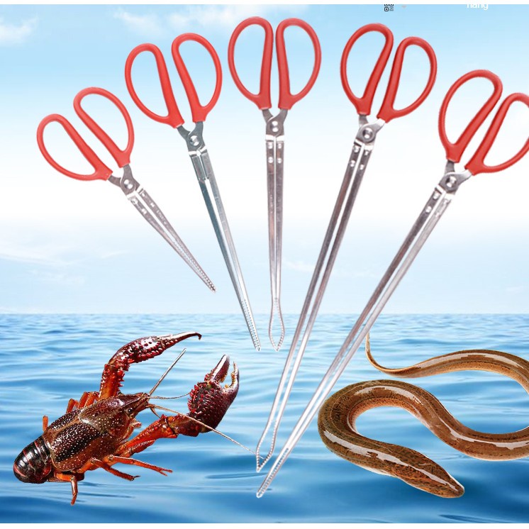 Kẹp Bắt Lươn Rắn, Hải Sản, Cua Ghẹ, Tôm Hùm. Loại Dụng Cụ Chuyên Dụng