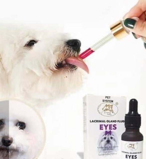Crimal Gland Fluid Eye Siro uống trị chảy nước mắt 20ml cho chó mèo