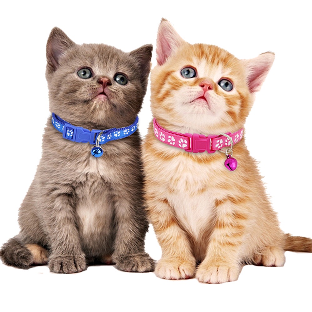 Vòng Cổ Dễ Thương Cho Thú Cưng
