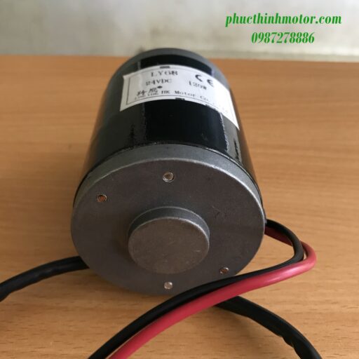 Động cơ chổi than 24V 120W