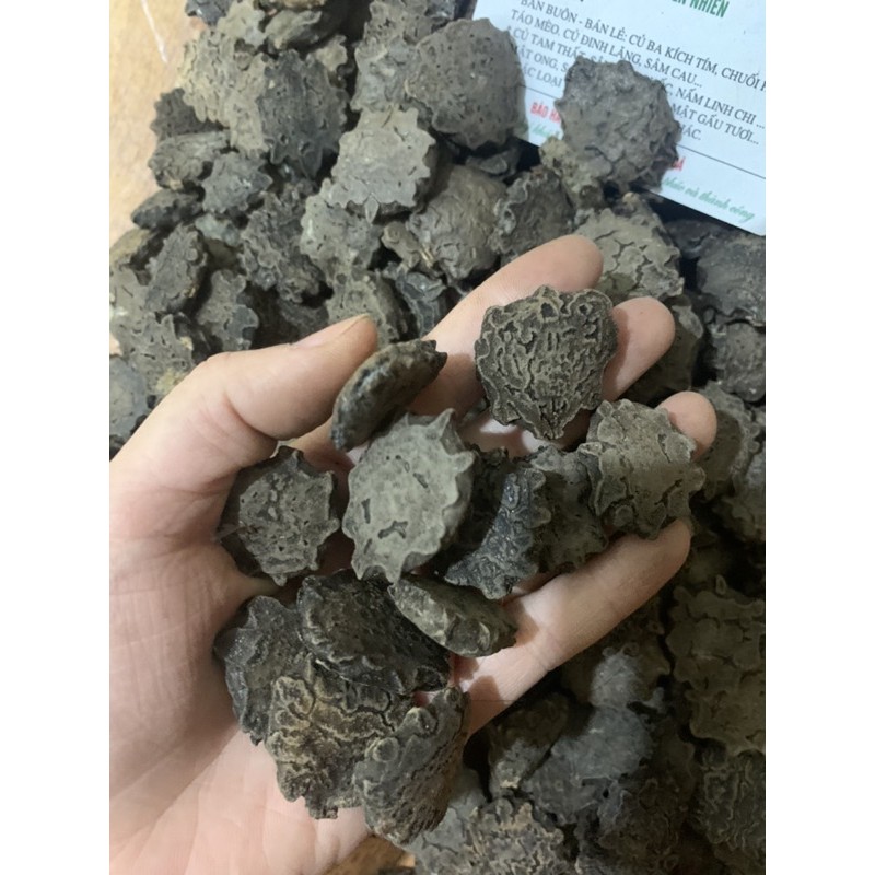 [Mã 267FMCGSALE giảm 8% đơn 500K] 1kg Hạt Gấc Khô (Mộc miết tử) loại tốt | BigBuy360 - bigbuy360.vn