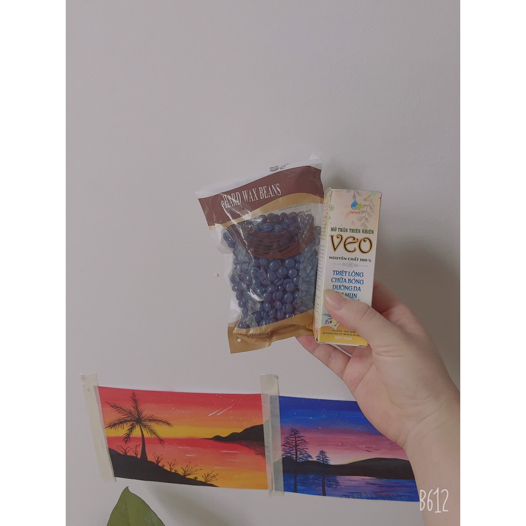 Combo Triệt Lông Vĩnh Viễn Sáp Wax Loại 1 Tại Nhà - Tặng sẵn que gỗ | BigBuy360 - bigbuy360.vn