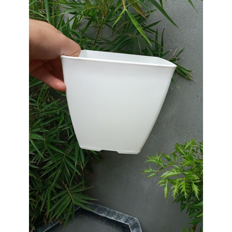 CHẬU NHỰA TRẮNG BỀN PHI 16CM