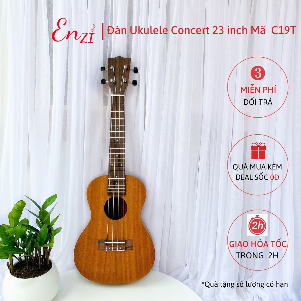 Đàn ukulele concert mã HolaD Enzi họa tiết nhí viền đen thiết kế khóa đúc cao cấp cho bạn mới bắt đầu tập chơi