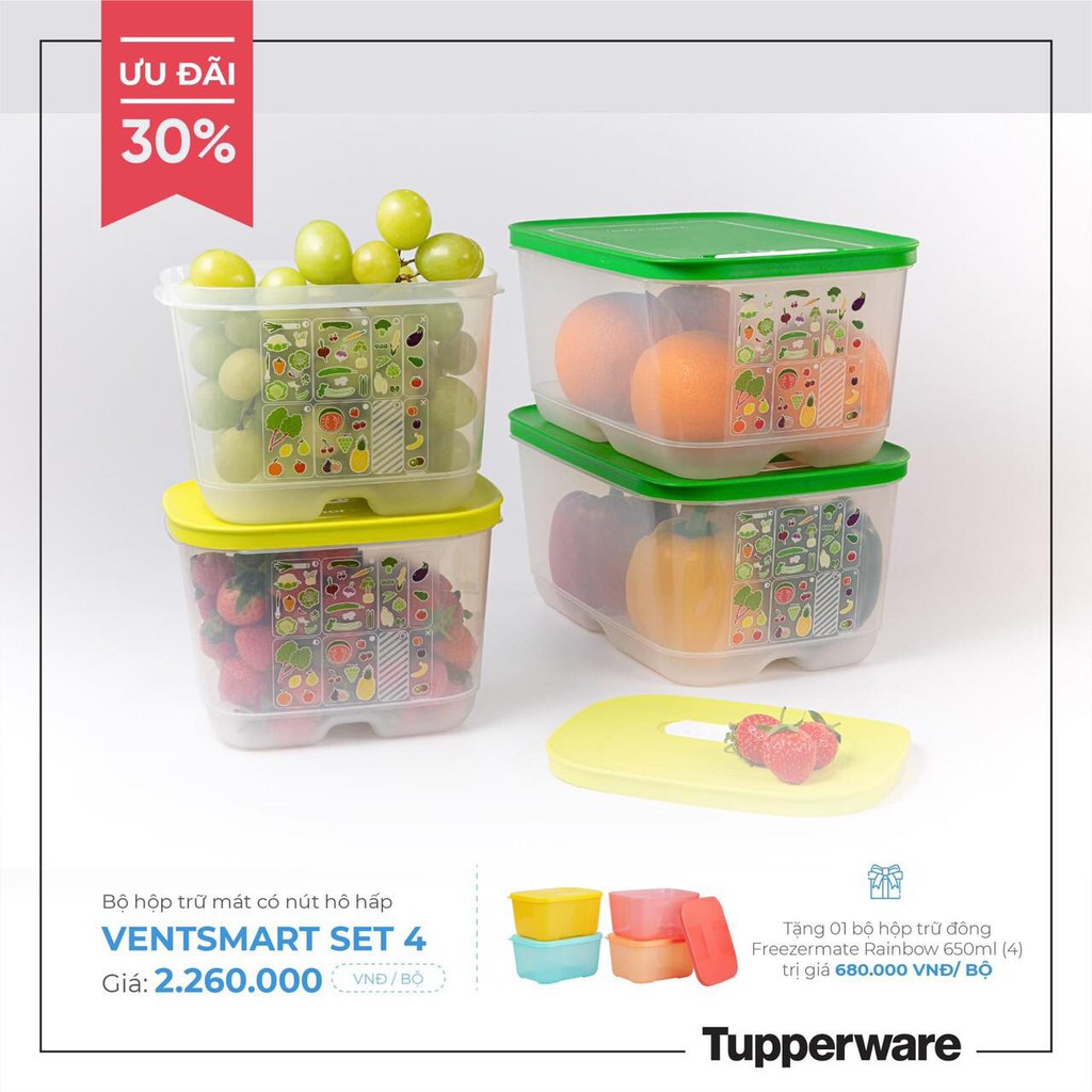 Bộ hộp Ventsmart 4 hộp TẶNG Bộ hộp đông Rainbow màu sắc 650ml Tupperware