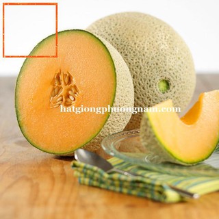 20H - HẠT GIỐNG DƯA LƯỚI Hạt Giống Nông Trại Xanh