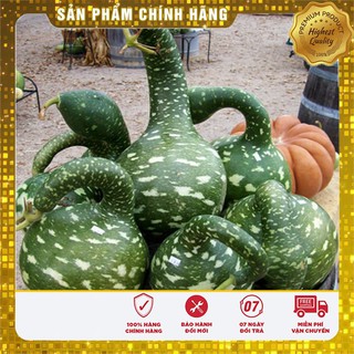 Hạt giống Bầu Thiên Nga 5 Hạt