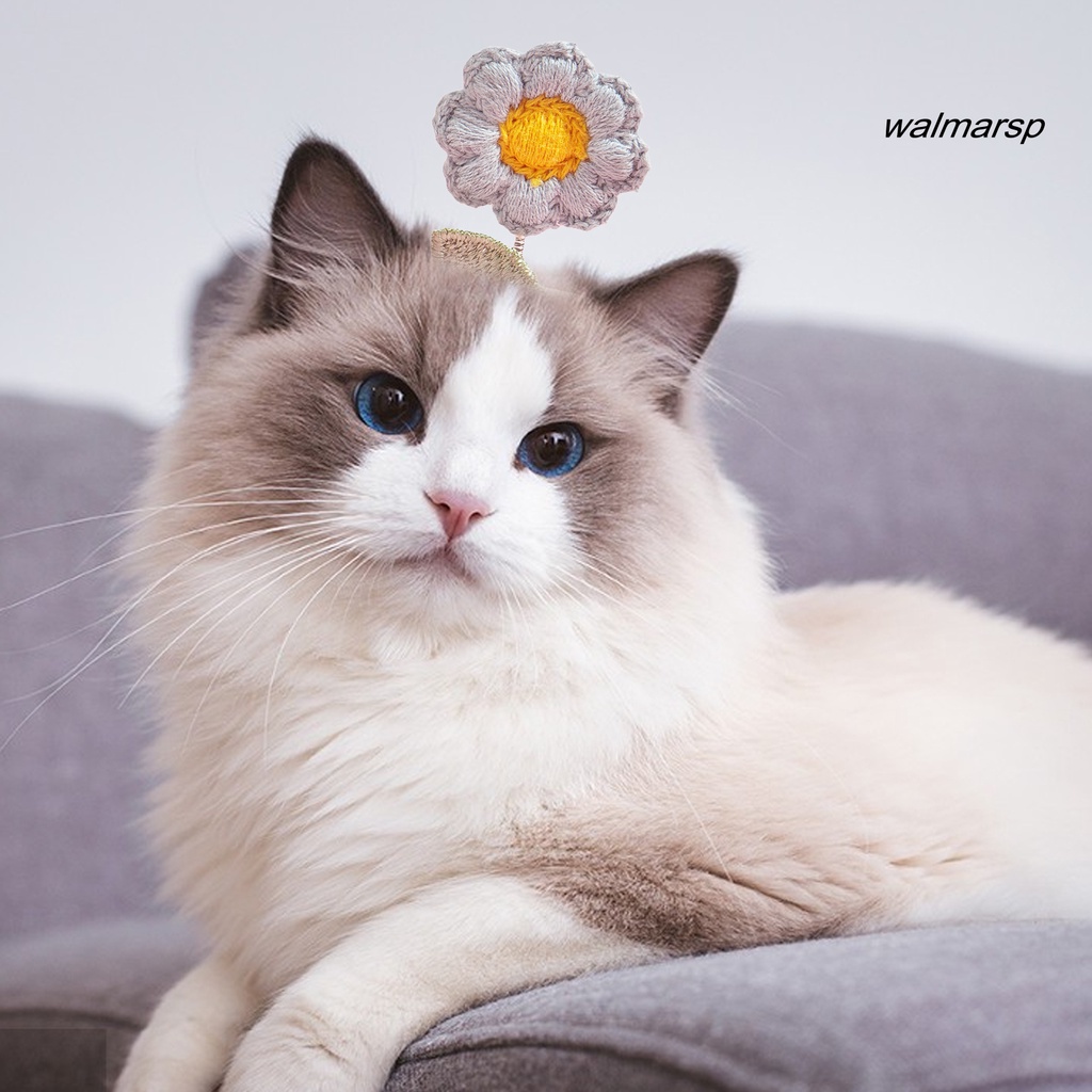 Kẹp Tóc Đan Len Hình Hoa / Mèo Hoạt Hình Dễ Thương Cho Thú Cưng