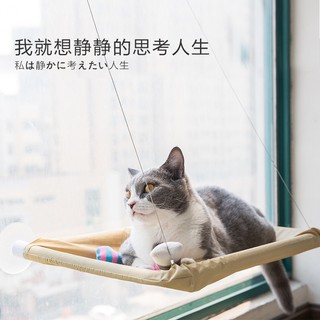 Võng mèo hít kính (Hàng có sẳn)
