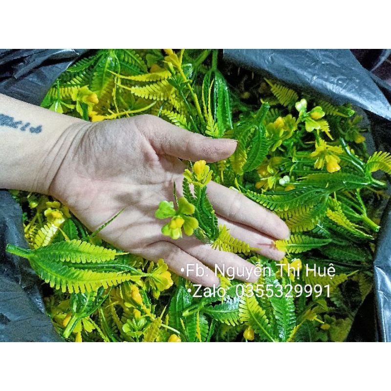 100gr cỏ điểm dùng trang trí hoa,oản